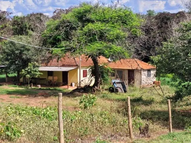Imagem 4: Fazenda À Venda em Monte Alegre de Minas