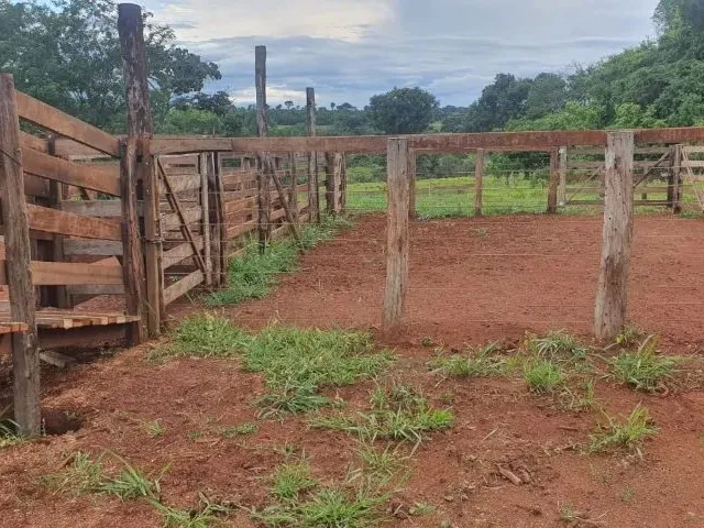 Imagem 2: Fazenda À Venda em Monte Alegre de Minas