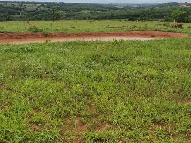 Imagem 5: Fazenda À Venda em Monte Alegre de Minas