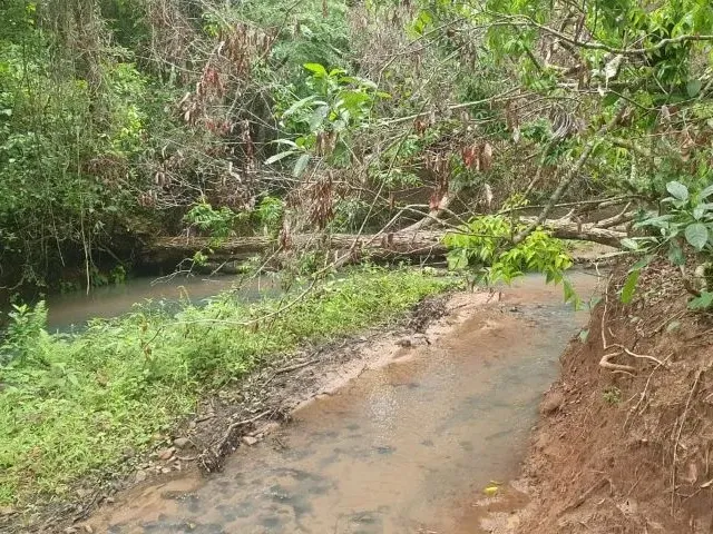 Imagem 8: Fazenda À Venda em Monte Alegre de Minas