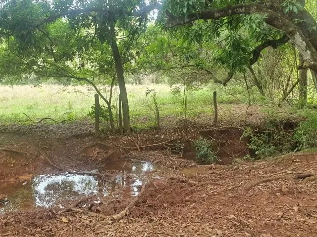 Imagem 3: Fazenda À Venda em Monte Alegre de Minas