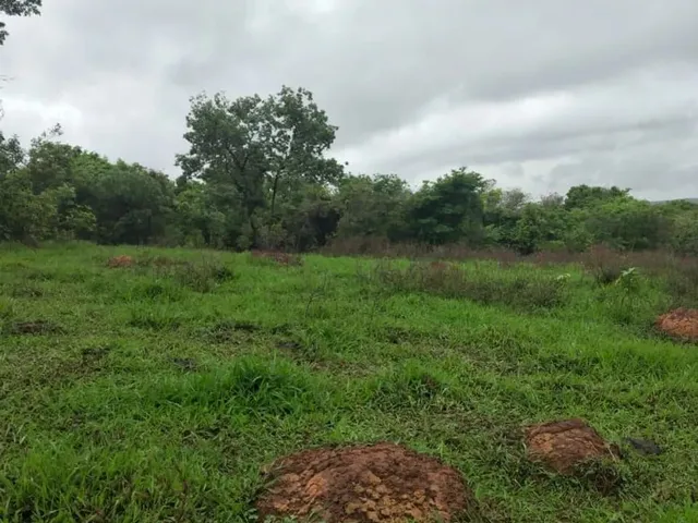 Imagem: Fazenda para Reserva, Reflorestamento, Pecuária