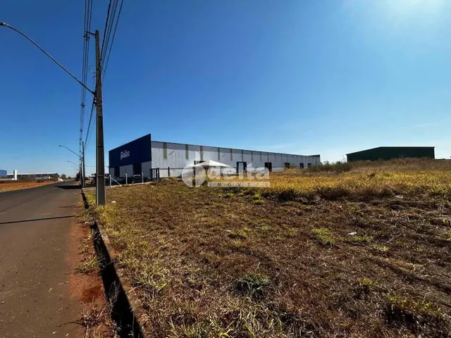 Imagem 2: Área com 1.000M² Disponível para Venda no Bairro Centro Empresarial Leste Em