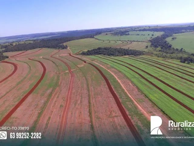 Imagem: Uberaba - Mg 281,04 Hectares em Lavoura