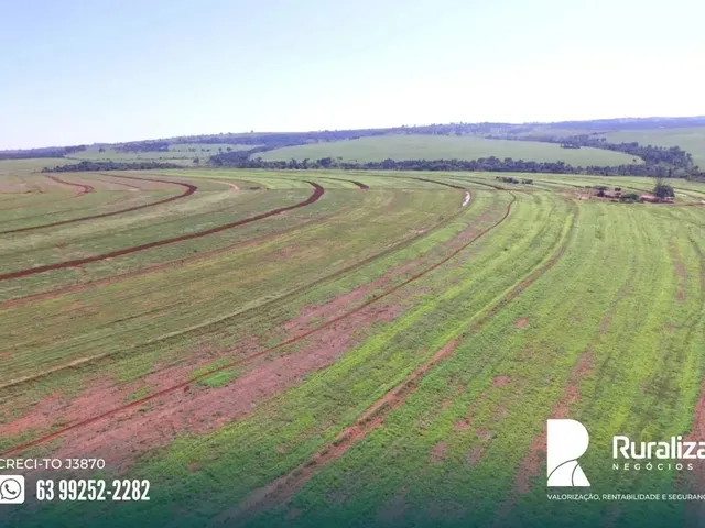 Imagem 5: Uberaba - Mg 281,04 Hectares em Lavoura