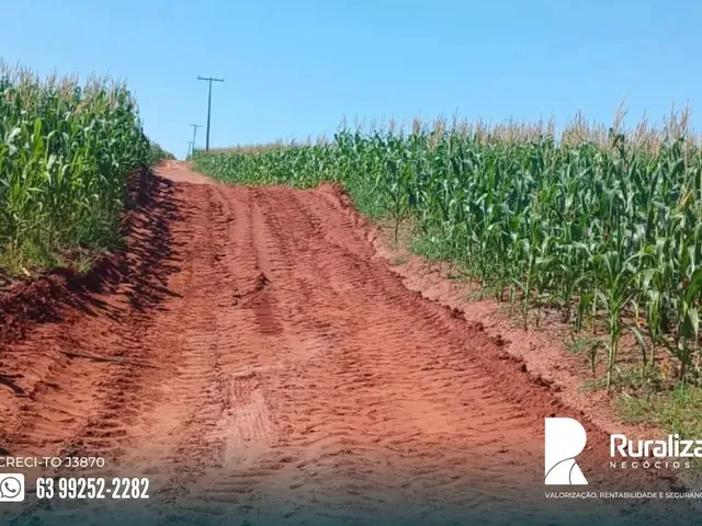 Imagem 3: Uberaba - Mg 281,04 Hectares em Lavoura