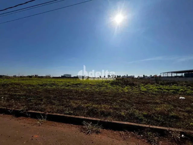 Imagem 6: Área com 1.000M² Disponível para Venda no Bairro Centro Empresarial Leste Em