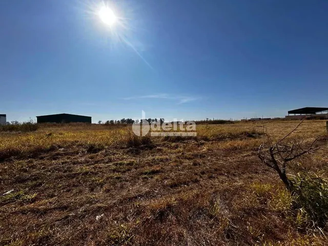 Imagem 4: Área com 1.000M² Disponível para Venda no Bairro Centro Empresarial Leste Em