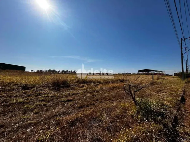 Imagem 3: Área com 1.000M² Disponível para Venda no Bairro Centro Empresarial Leste Em