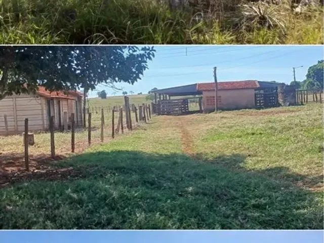 Imagem: Fazenda em Perdizes Minas Gerais