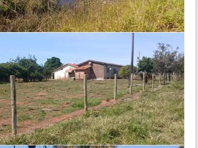 Imagem: Fazenda Dupla Aptidão Município de Campina