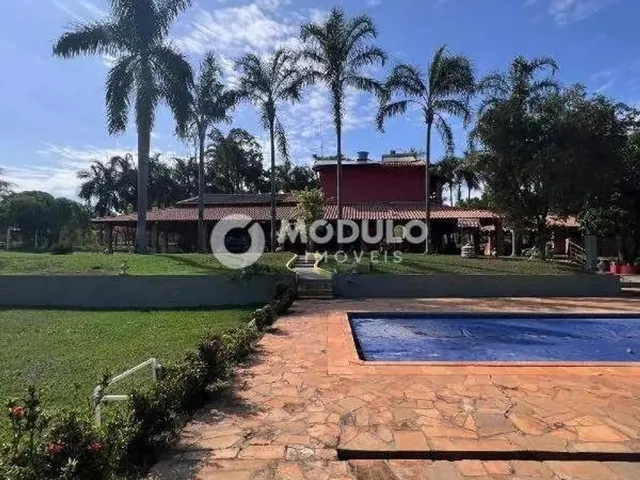 Imagem: Chacara Maravilhosa de 7 Mil Mts Condomio