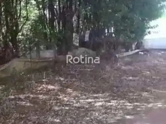 Imagem: Terreno Morava Nova