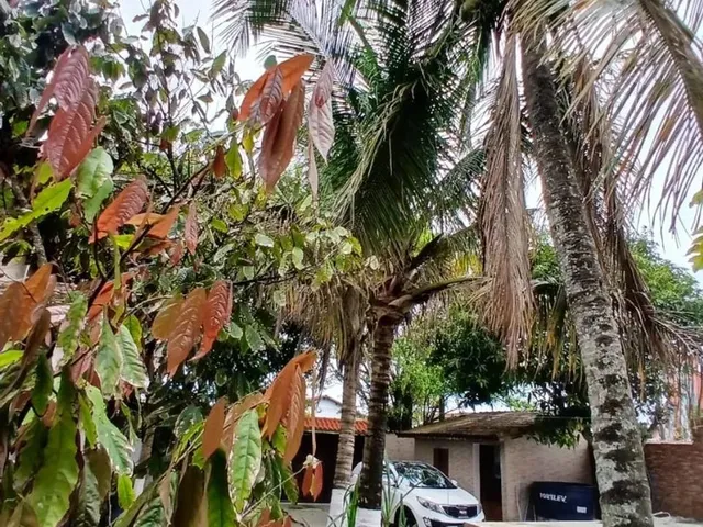 Imagem: Casa em Mongaguá com Piscina