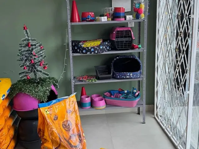 Imagem 11: Vendo Agropecuária em Camboriú