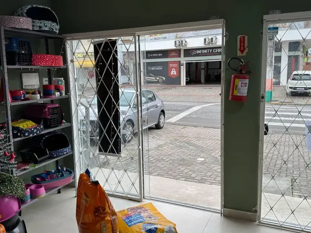 Imagem 12: Vendo Agropecuária em Camboriú