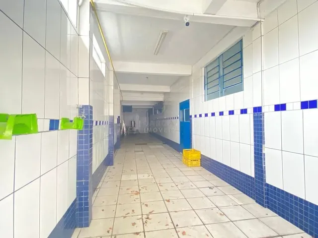 Imagem 8: Prédios para Locação com 3 Quartos - Vila Jardim América