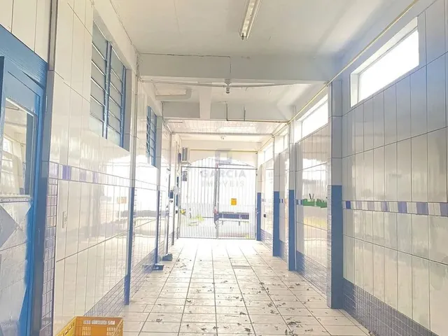 Imagem 5: Prédios para Locação com 3 Quartos - Vila Jardim América