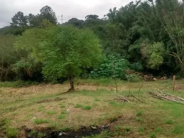 Imagem 3: Ótima Oportunidade: Pavilhão Comercial de 200 M² no Jardim do Cedro!