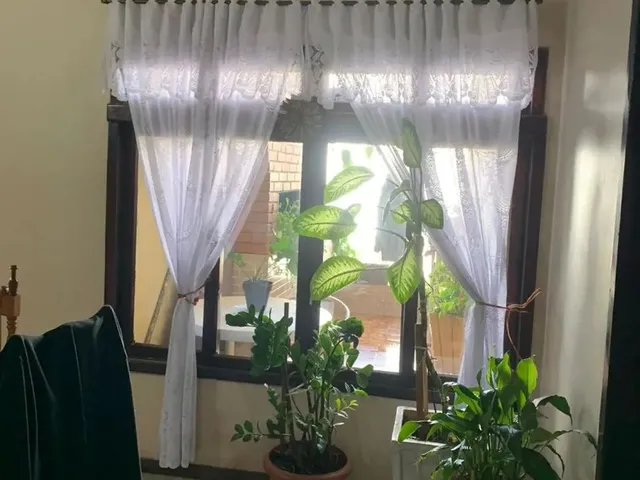 Imagem 4: Ótimo Ponto Comercial e Residencial