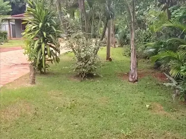 Imagem 11: Vendo Casa no Recanto do Jaburu - Vila Planalto/Df