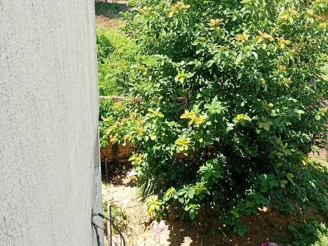 Imagem 10: Imóvel para Venda com 45 Metros Quadrados com 2 Quartos em Monte das Oliveiras - Manaus