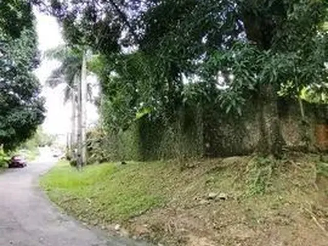 Imagem: /Mansão no Parque das Laranjeiras