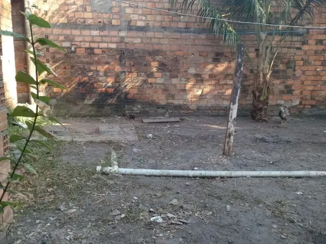 Imagem 10: Casa em Mosqueiro - Ariramba