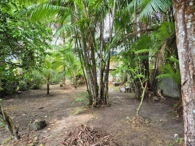 Imagem 2: Vendo - Casa em Mosqueiro