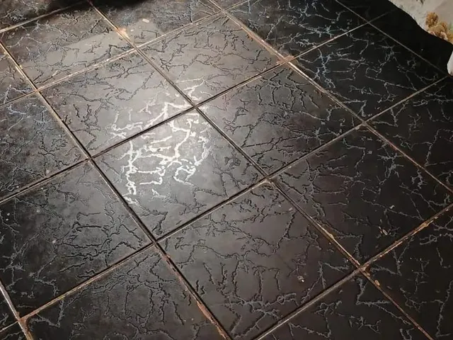 Imagem 3: Casa Casa com 2 dormitórios