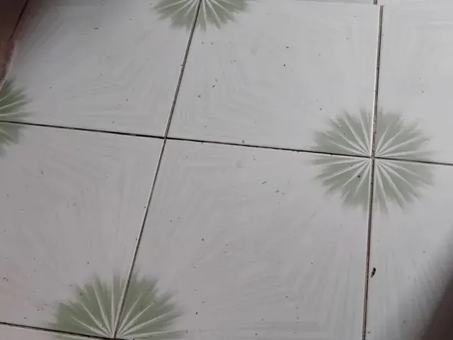 Imagem 4: Casa Casa com 2 dormitórios