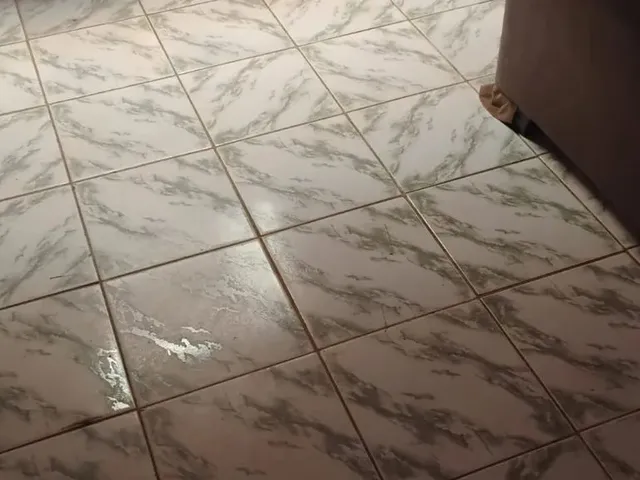 Imagem 5: Casa Casa com 2 dormitórios