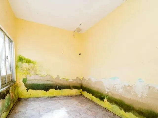 Imagem 9: Casa, 4/4, na Rua dos Caripunas