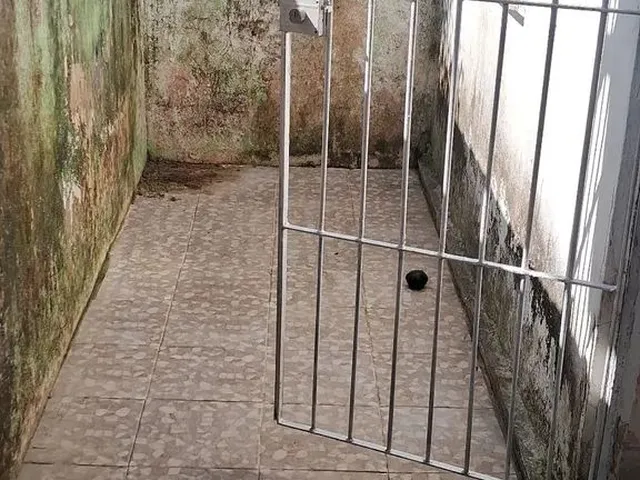 Imagem 5: Casa no Centro de Igarassu