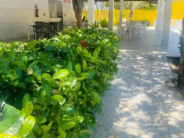 Imagem: Alugo Mobiliado Anual Pau Amarelo