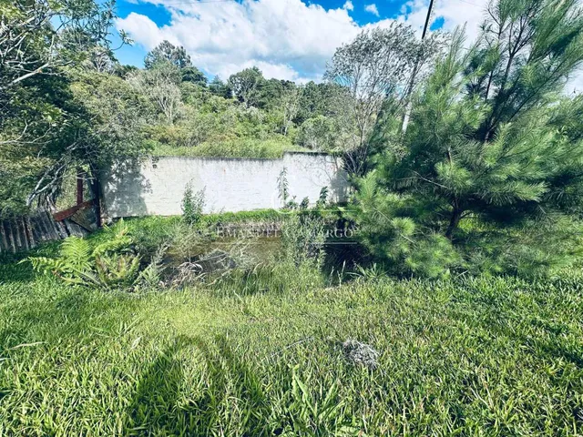 Imagem 8: Chácara à venda em Piraquara, Planta Granjas Eldorado, com 3 quartos, 4500m²