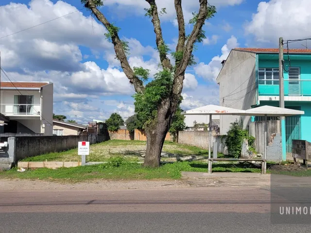 Imagem 10: Terreno amplo para impulsionar o seu próximo projeto
