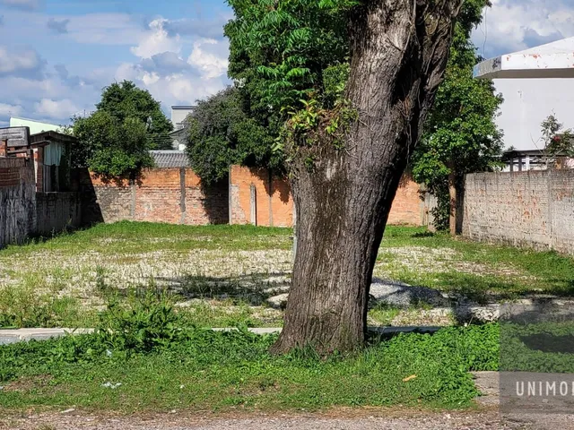 Imagem 4: Terreno amplo para impulsionar o seu próximo projeto