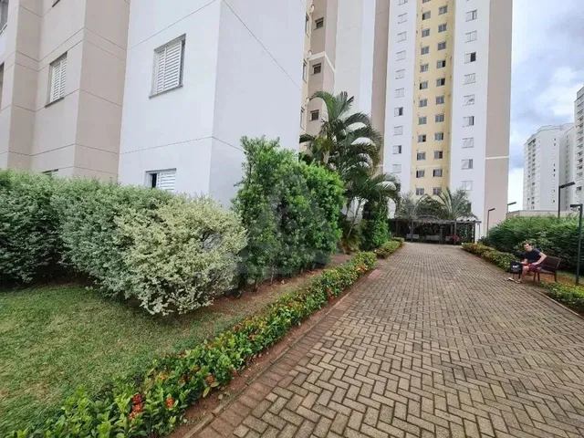 Imagem 12: Apartamento Mobiliado para Alugar em Campinas, Swift, com 2 Quartos, com 60 M², Perfect