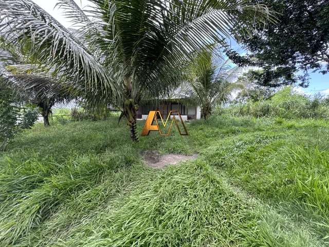 Imagem 4: SÍTIO COM CASA EM PRAIA DO FORTE