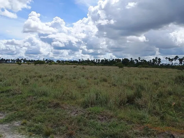Imagem: Terreno para Chácara