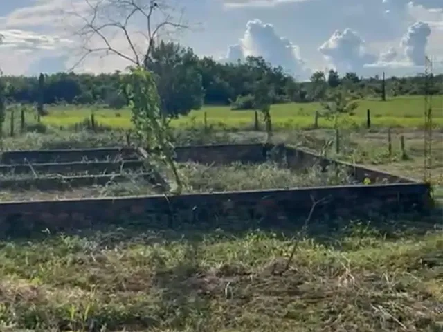 Imagem: Vende-Se Terreno na Vila São Francisco