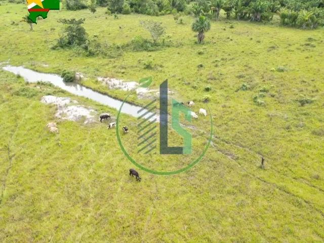 Imagem: Área de 482 Hectares