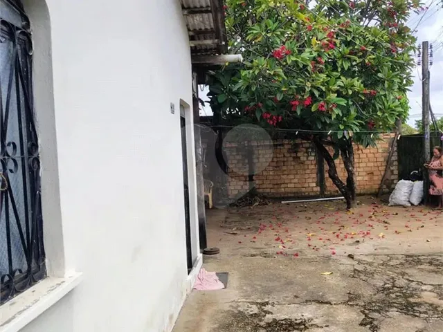 Imagem 8: Terreno À Venda em Liberdade - Rr