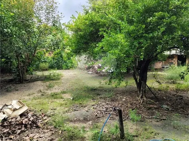Imagem 9: Terreno À Venda em Liberdade - Rr