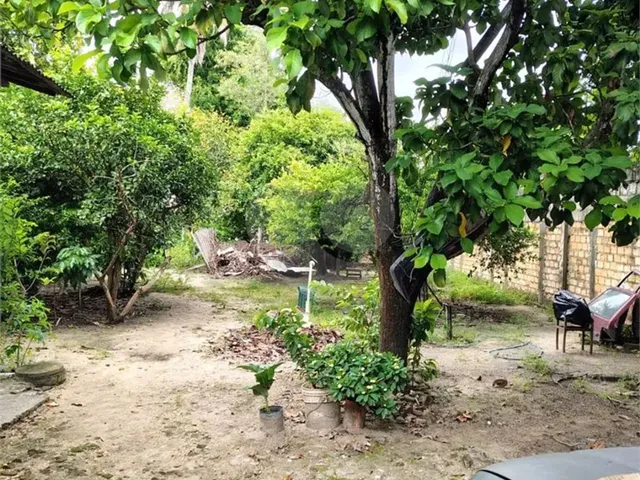 Imagem 6: Terreno À Venda em Liberdade - Rr