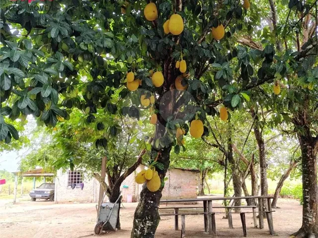 Imagem 11: Chácara com 1 Quartos À Venda em Centro - Rr