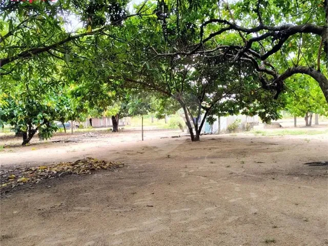 Imagem 2: Chácara com 1 Quartos À Venda em Centro - Rr