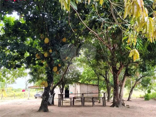 Imagem 6: Chácara com 1 Quartos À Venda em Centro - Rr