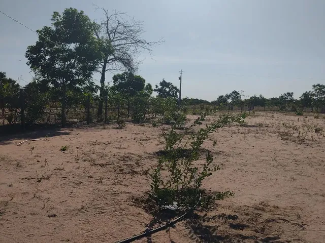 Imagem 12: Chacara Água Boa